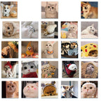 64834666-ee17-4395-a661-1bd72946b0ee