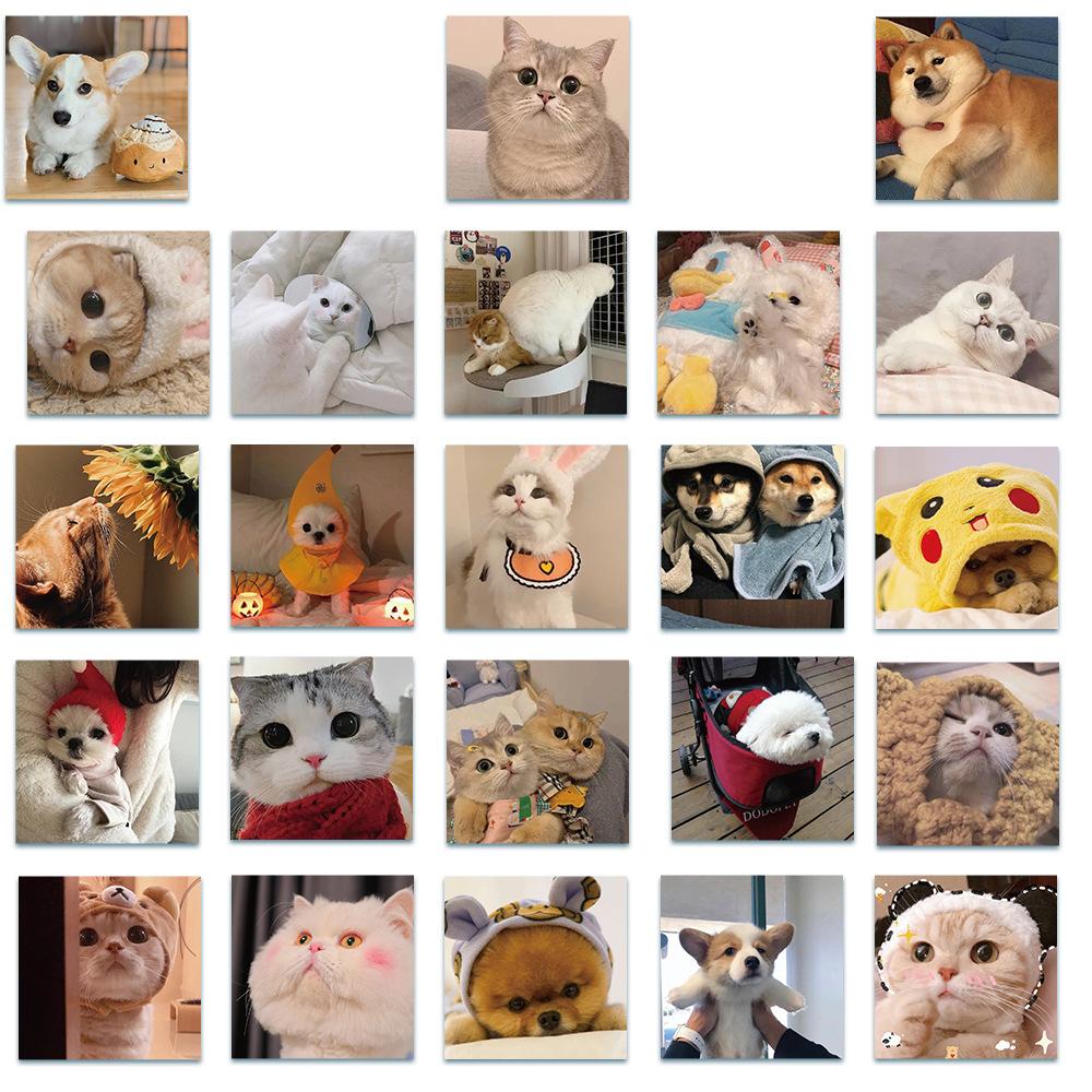 64834666-ee17-4395-a661-1bd72946b0ee