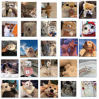 ee255c6b-9680-4490-88f3-5bd4fb5547a0