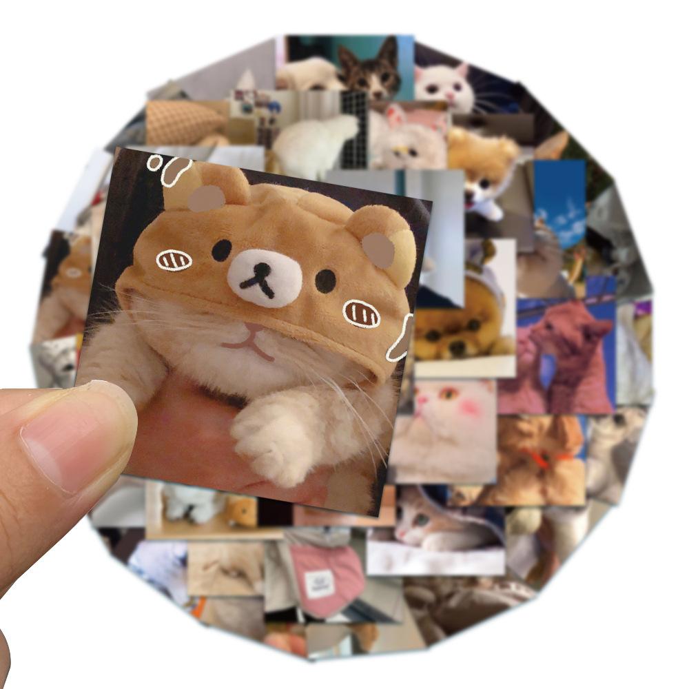 95aab31e-326b-4fa1-abd1-849571854ef5