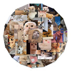 626e34ae-75f8-417f-b8ef-cf3122b300c8