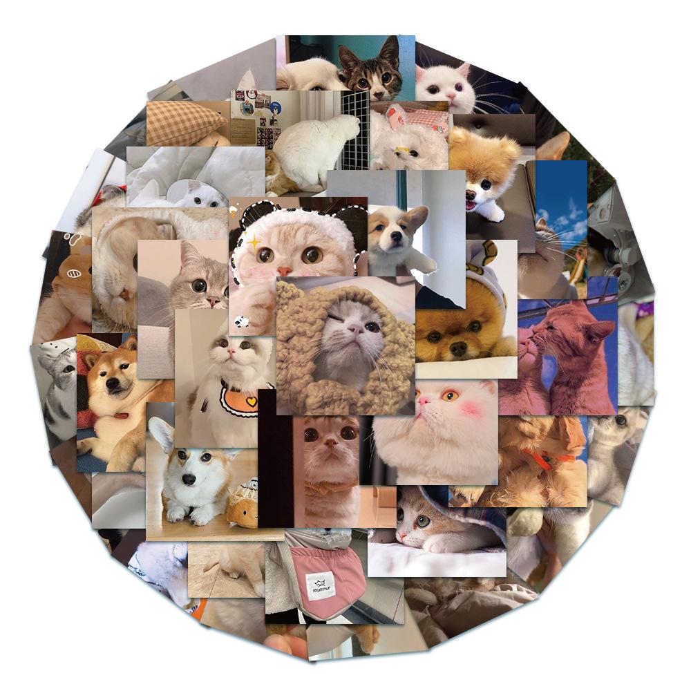 626e34ae-75f8-417f-b8ef-cf3122b300c8