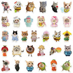 2c26e3de-3b96-4d61-9704-e3a075f27ac5