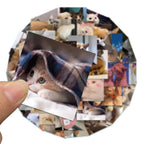 d767b567-89f9-48f7-a959-b1ba7edf9a88