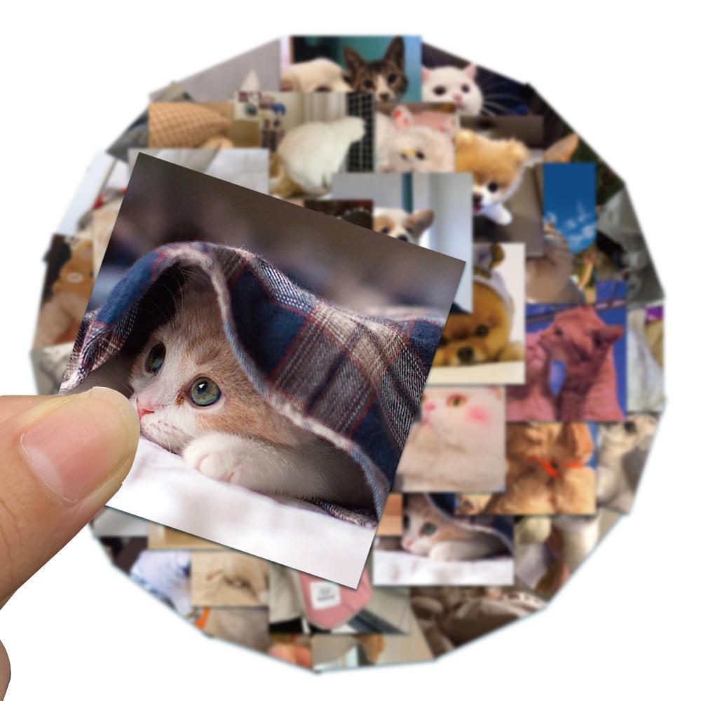 d767b567-89f9-48f7-a959-b1ba7edf9a88