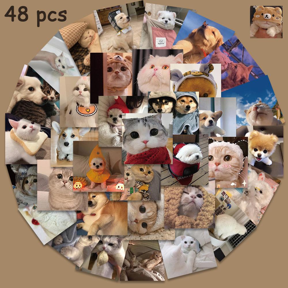 86ca66b2-bc52-4aa3-a3da-4b41e2605b27